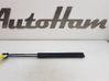 Tailgate/trunk strut/damper 