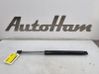 Tailgate/trunk strut/damper 