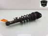 Rear shock absorber/damper 22190561