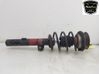 Front shock absorber/damper 31316768916
