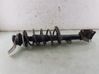 Front shock absorber/damper 543029903R