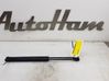 Tailgate/trunk strut/damper 