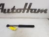Tailgate/trunk strut/damper 