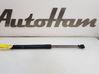 Tailgate/trunk strut/damper 