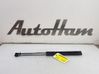 Tailgate/trunk strut/damper 