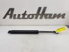Tailgate/trunk strut/damper 