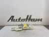 Roof airbag 13250503