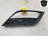 Front bumper lower grill 