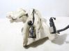 Windshield washer fluid reservoir/tank 