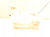 Windshield washer fluid reservoir/tank 