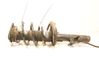 Front shock absorber with coil spring 