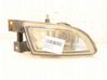 Front fog light 