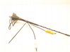 Radio antenna 9850775480