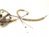 Rear door lock 2311R