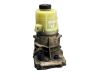 Electric power steering pump 491100616R