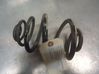 Rear coil spring NP