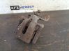 Takajarrusatula 36