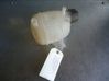 Coolant expansion tank/reservoir 