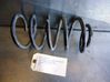 Muelle espiral trasero 
