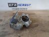 Throttle body valve 