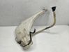 Windshield washer fluid reservoir/tank 7124231