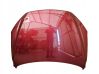 Motorhaube 