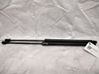 Tailgate/trunk strut/damper 