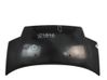 Motorhaube 7901K2