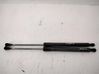 Tailgate/trunk strut/damper 