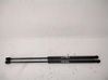 Tailgate/trunk strut/damper 