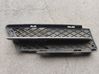 Front bumper lower grill 7134082