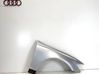 Guardabarro 