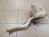 Depósito/tanque del líquido limpiaparabrisas 