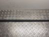 Front door trim (molding) 1934178