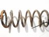 Rear coil spring 