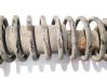 Front coil spring 