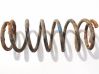 Muelle espiral trasero 