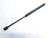 Tailgate/trunk strut/damper 
