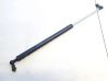 Tailgate/trunk strut/damper 