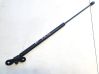 Tailgate/trunk strut/damper 