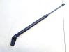 Tailgate/trunk strut/damper 
