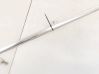 Rear door glass trim molding 