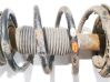 Front coil spring 