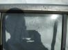Rear door window glass 
