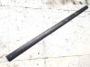 Front door trim (molding) 