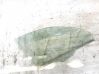 Front door window glass four-door 