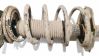 Front coil spring 