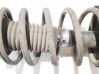 Front coil spring 