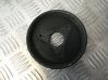 Power steering pump pulley 7700105711B