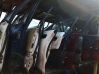 Rear door MELYNOS
